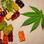 Biolife CBD Gummies Profile Picture