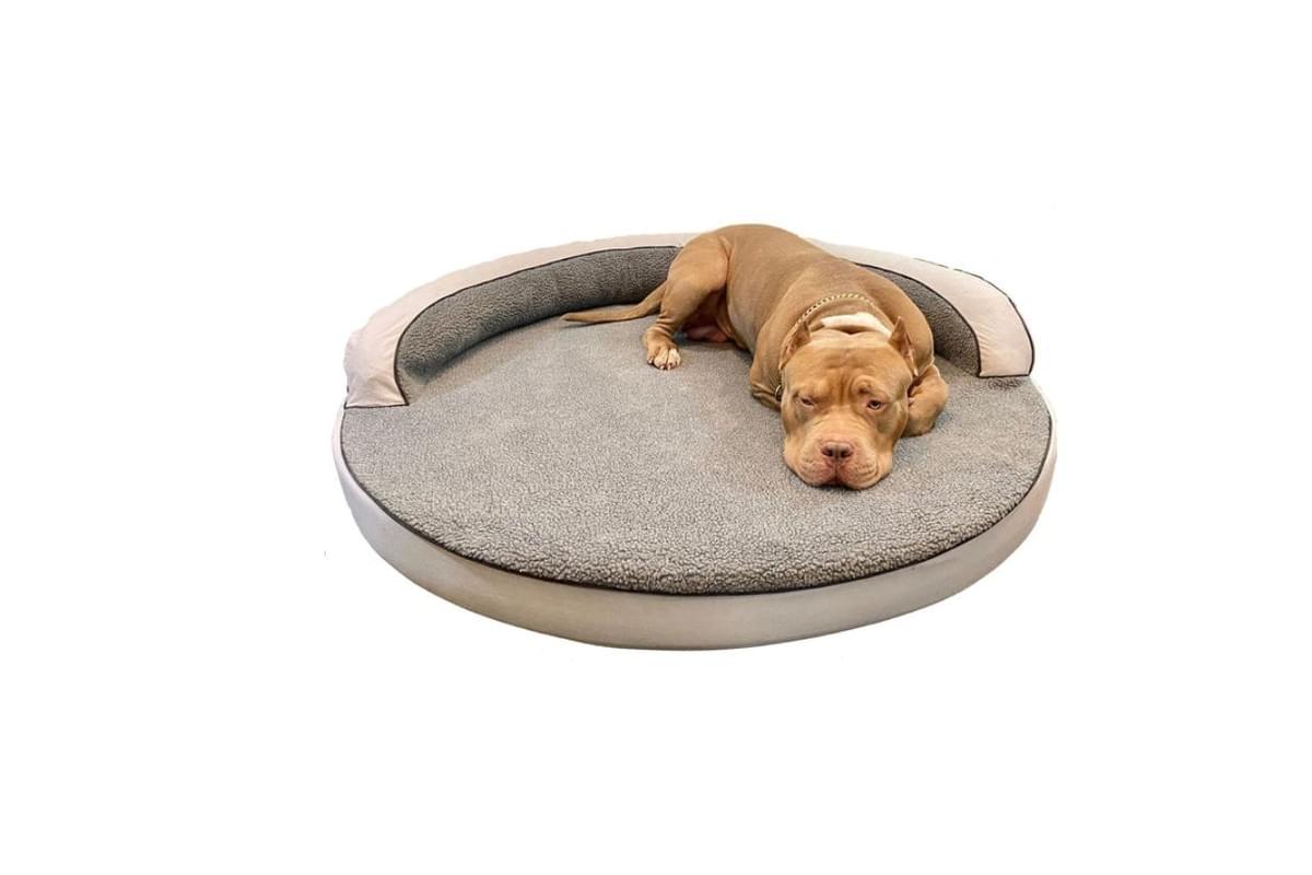 How To Wash Your Dog's Large Round Bed? - Dogs Bed