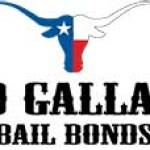 David Gallagher Bail Bonds profile picture