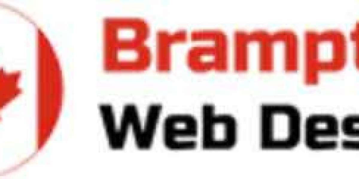 The Best Web Management by Web Design Hamilton Experts
