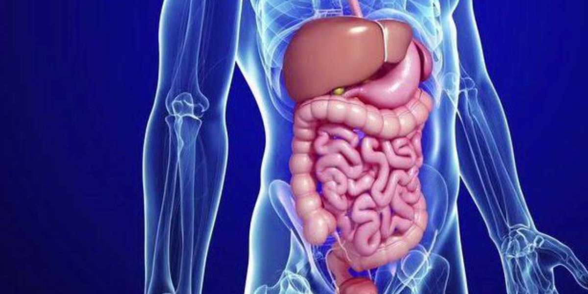 Global Gastrointestinal Drugs Market to Register approx. 5.03% CAGR during 2022-2030; Asserts MRFR Releasing the Insight