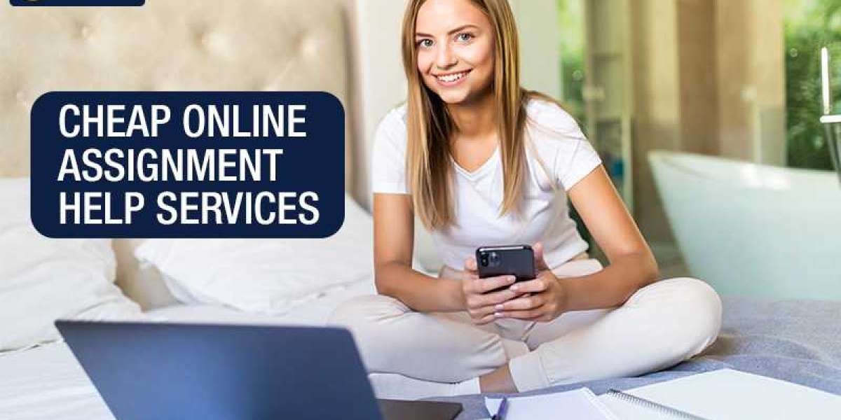 How do I find the best assignment help company in the USA?