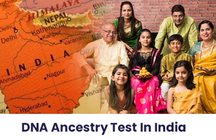 Get An Ancestry DNA Test to Find Your Family Roots