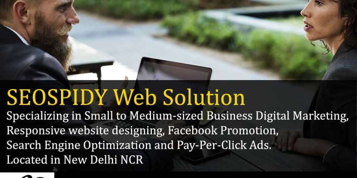Get the Best SEO Services in Delhi with SEOSpidy Web Solutions