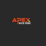 Apex Web Cube Profile Picture