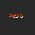 Apex Web Cube profile picture