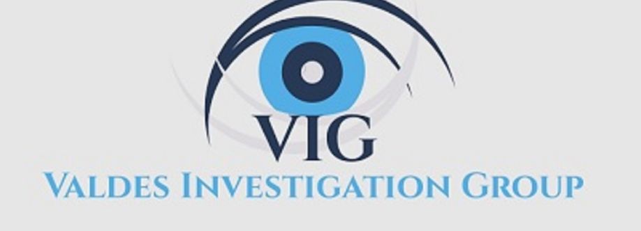 Valdes Investigation Group Cover Image