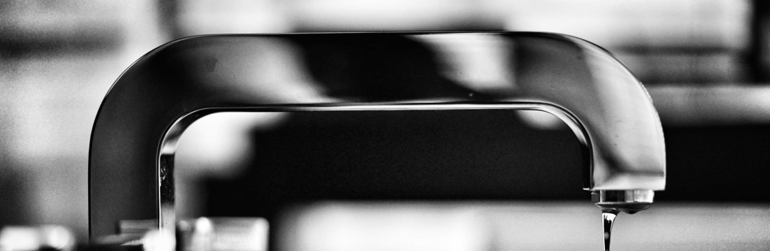 Palm Plumber Air Cover Image