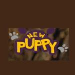 New Puppy Dog Training profile picture