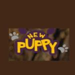 New Puppy Dog Training Profile Picture