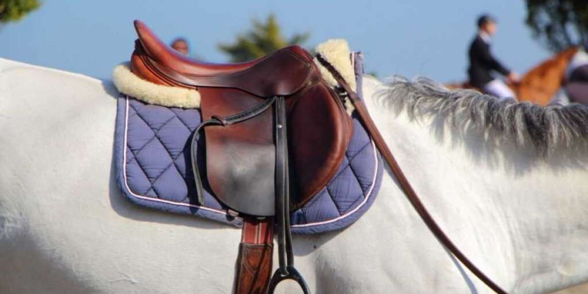 Customizing Your Horse Saddle?