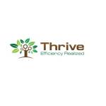 Thrive MES profile picture