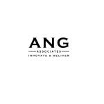 ANG Associates GmbH Profile Picture