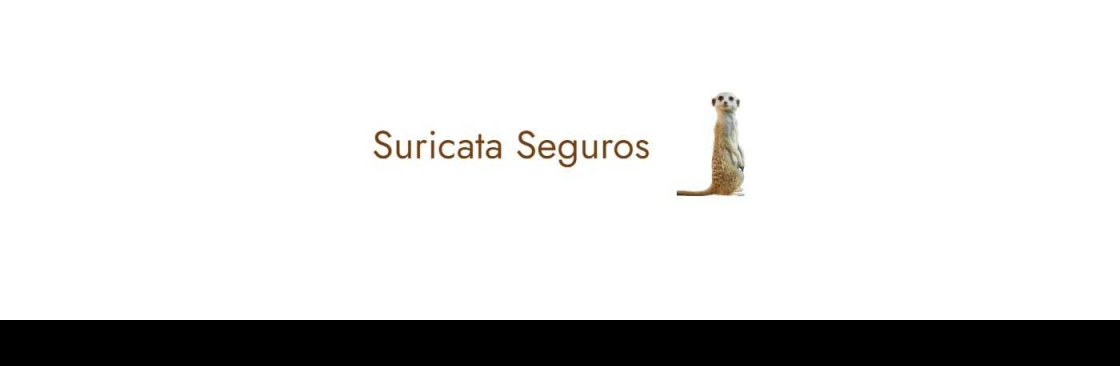 Suricata Seguros Cover Image