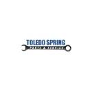 Toledo Spring profile picture