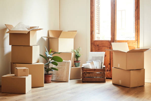 What are Packers and Movers in Mohali?