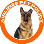 Airlines Policy profile picture