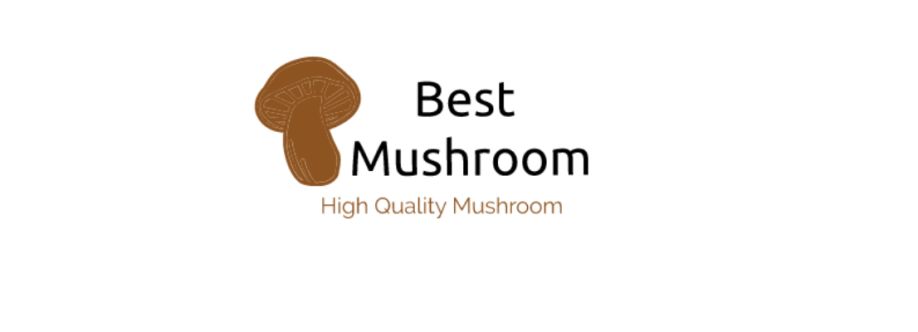 Best Mushroom Shop Cover Image