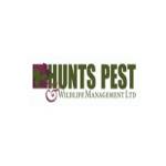 Hunts Pest profile picture