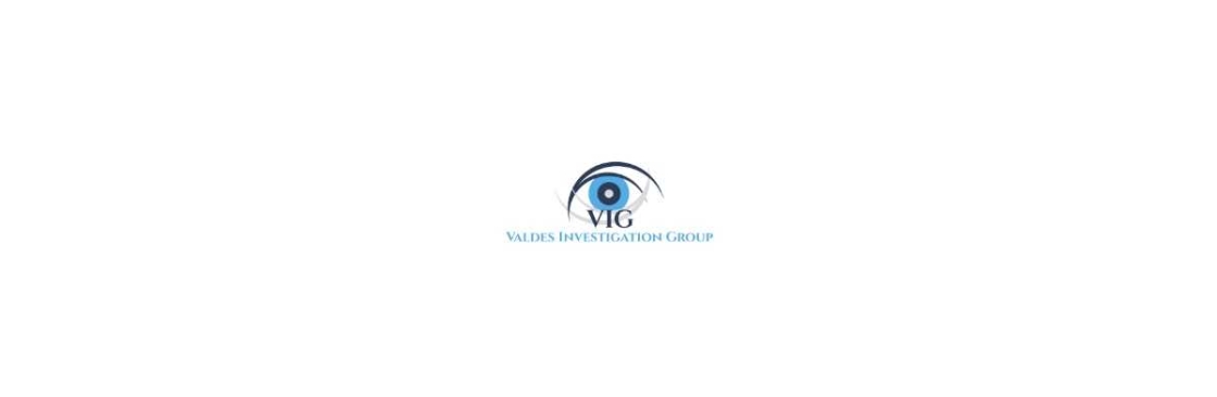 Valdes Investigation Group Cover Image