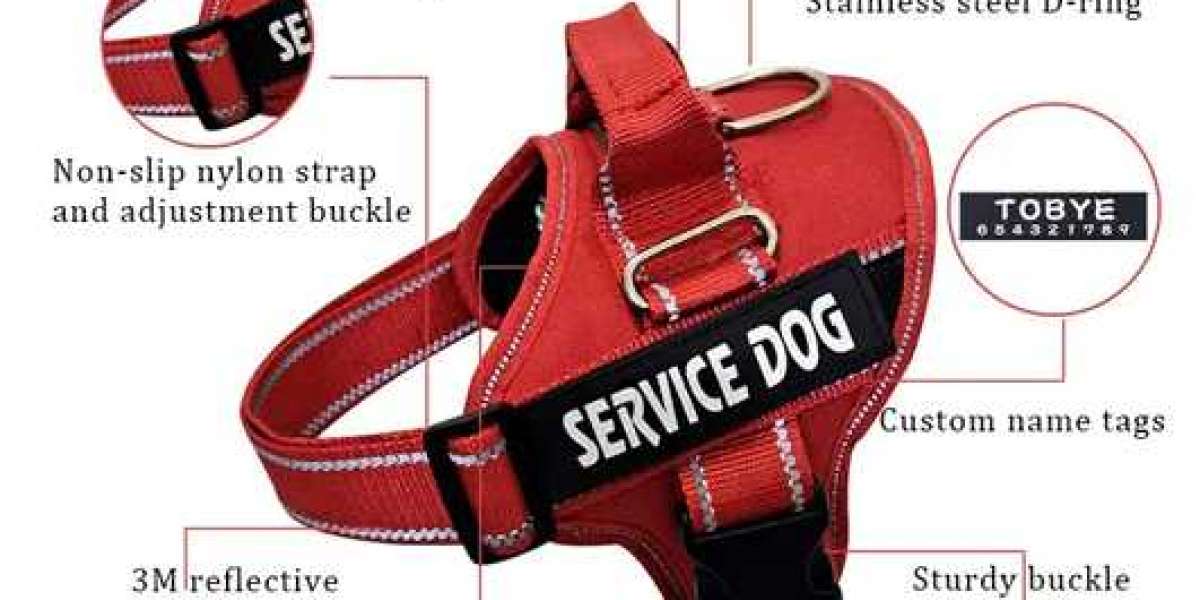 Design Dog Harness: A Perfect and Unique Look for Your Dog!