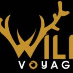 Wild Voyager Profile Picture