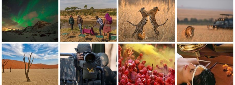 Wild Voyager Cover Image