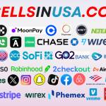 SELLS IN USA Profile Picture