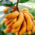 James Jackson Profile Picture