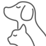 Jerry McNulty Profile Picture