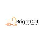 BrightCat Data Analytics Inc Profile Picture