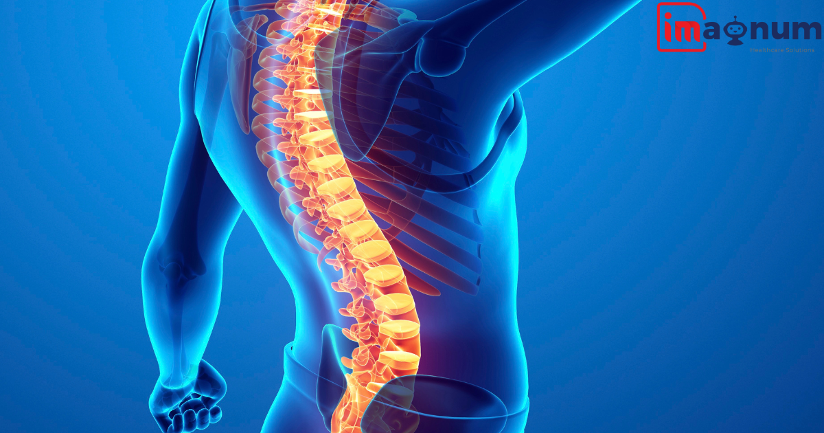 Chiropractic Medical Billing | Billing Services - Imagnum