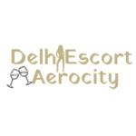 Delhi Escort Aerocity Profile Picture