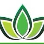 pius nature nature Profile Picture