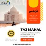 Taj With Guide Profile Picture