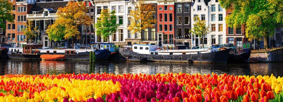 Fly Cheap Fares Cover Image