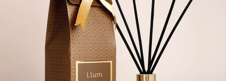Best Home Diffuser Llum Cover Image