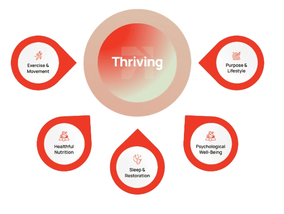 Increasing Healthspan with Diet and Health Testing in farnham