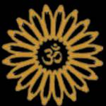 Punyah Yoga Profile Picture